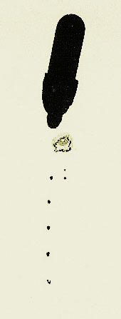 parachute